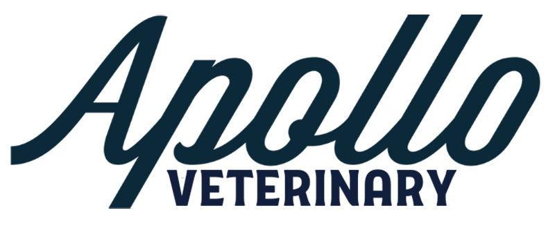 Apollo-Veterinary-Hospital-logo-blue